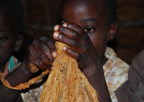 Underage tobacco girl